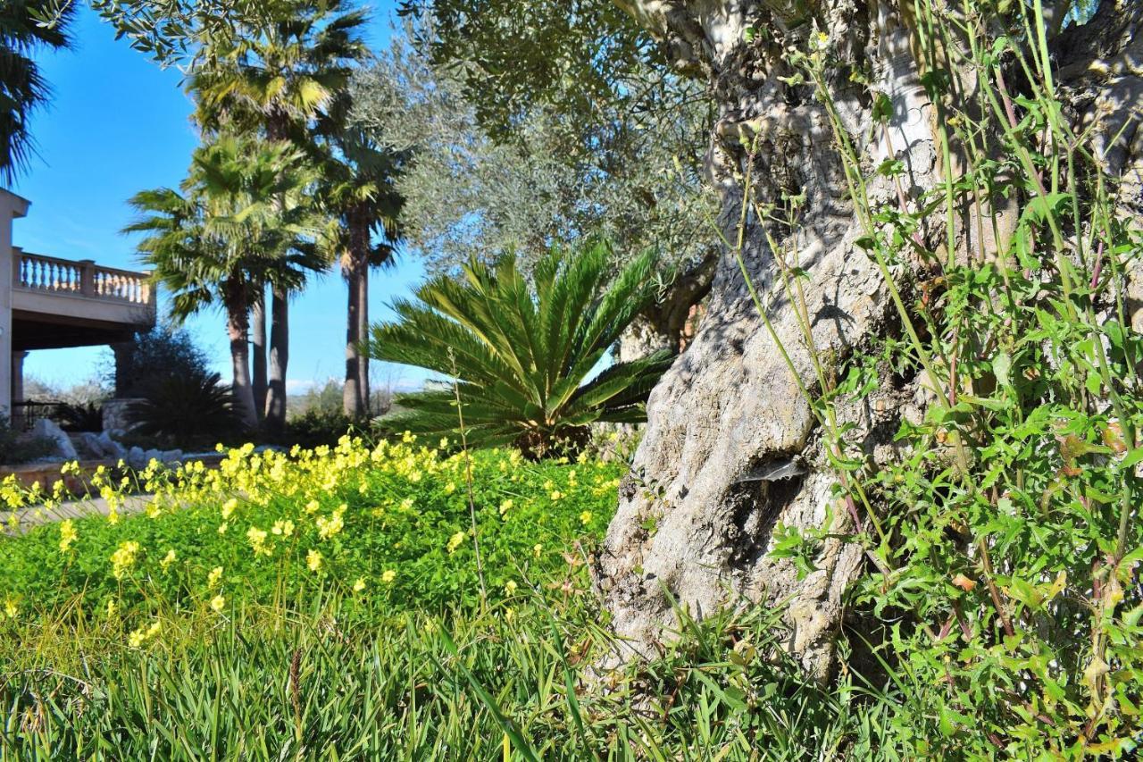 070 Son Arcaines De Simo Etv4134 By Mallorca Charme